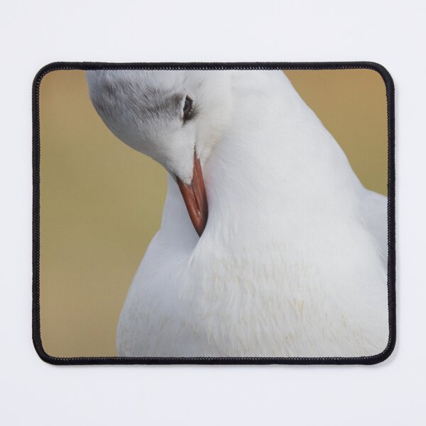 Item preview, Black Headed Gull designed and sold by LaurenTucker.