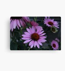 Untitled Canvas Print