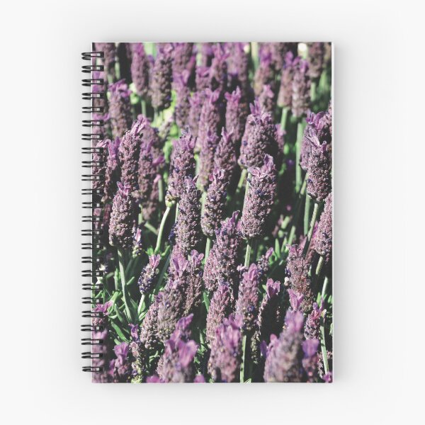 Item preview, Lavanda designed and sold by Nerone.