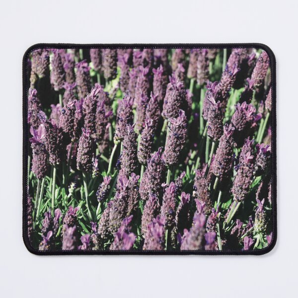 Item preview, Lavander designed and sold by Nerone.