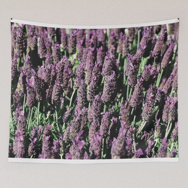 Item preview, Lavander designed and sold by Nerone.