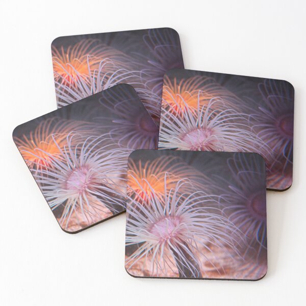Item preview, Tube Anemones with a 60s Vibe designed and sold by Martha Sherman.