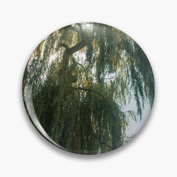 Item preview, weeping willow tree photograph designed and sold by soul-swimming.