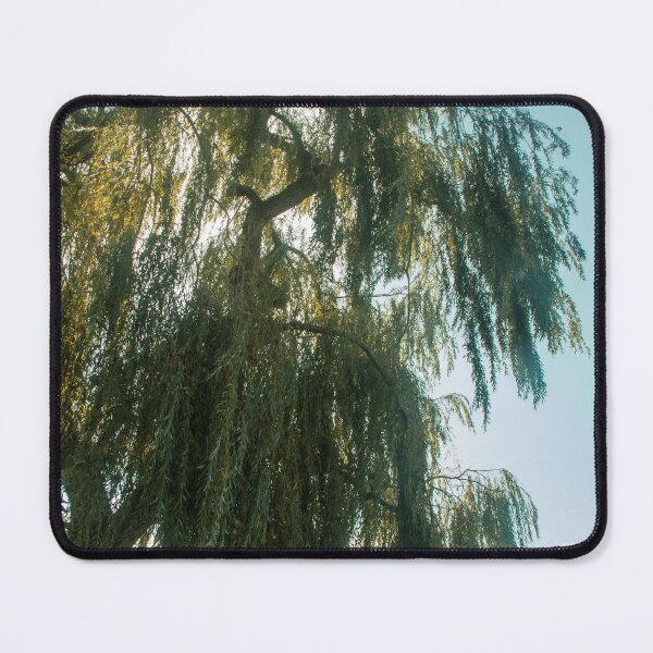 Item preview, weeping willow tree photograph designed and sold by soul-swimming.