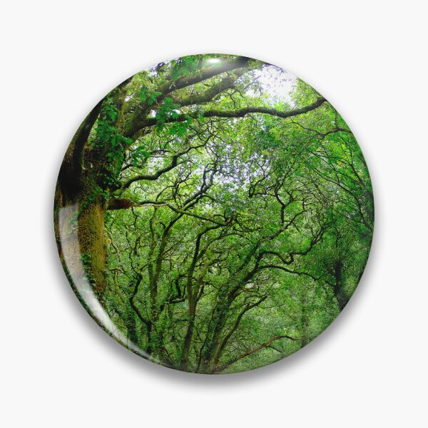Item preview, The woods outside of Palas de Rey  designed and sold by troianifabrizio.