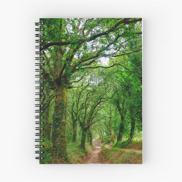 Item preview, The woods outside of Palas de Rey  designed and sold by troianifabrizio.