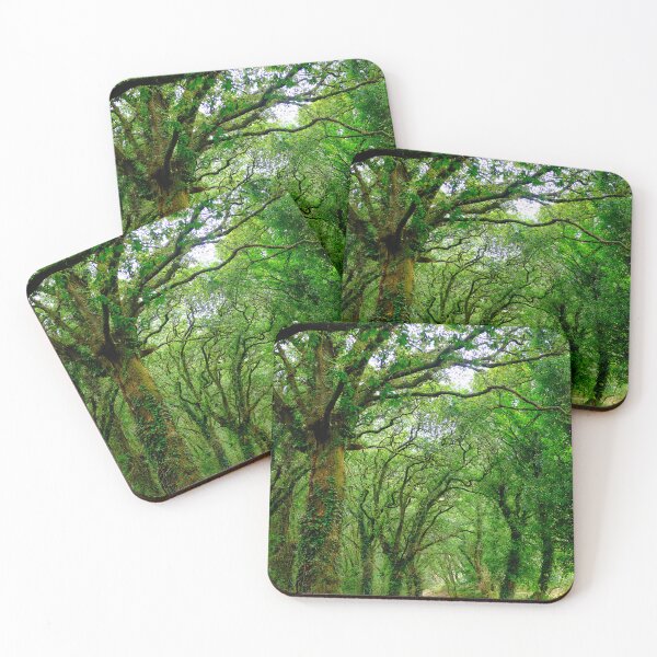 Item preview, The woods outside of Palas de Rey  designed and sold by troianifabrizio.