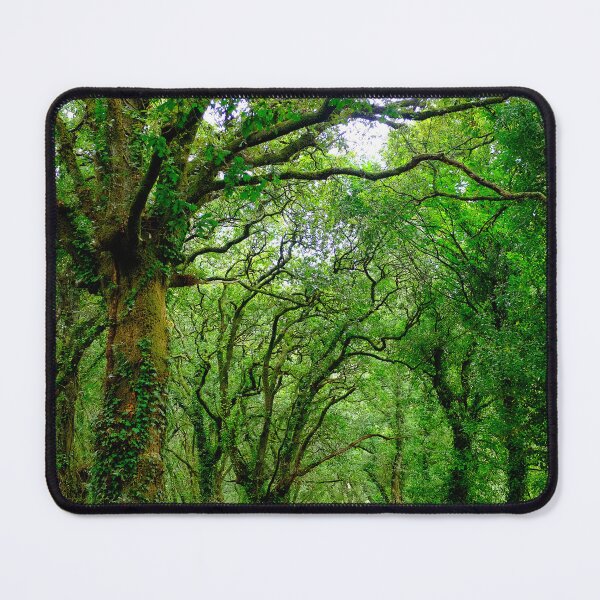 Item preview, The woods outside of Palas de Rey  designed and sold by troianifabrizio.
