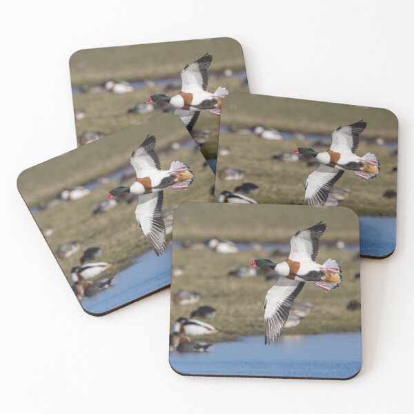 Item preview, Shelduck designed and sold by LaurenTucker.
