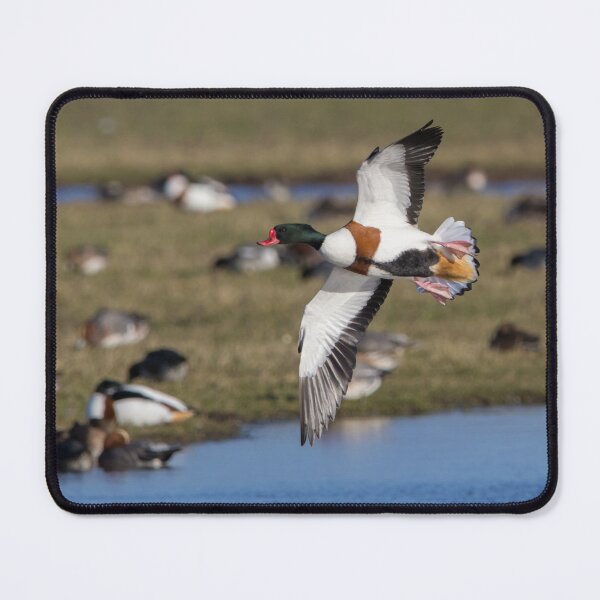 Item preview, Shelduck designed and sold by LaurenTucker.