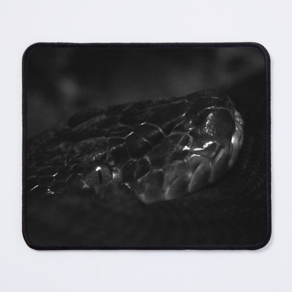 Item preview, Snake 2 designed and sold by TheArtPageofMG.