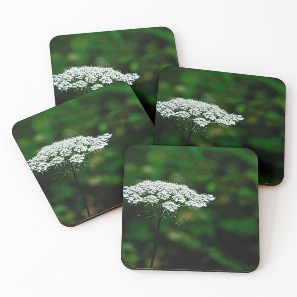 Item preview, Queen Anne's Lace, White on Green designed and sold by Brian Shaw.