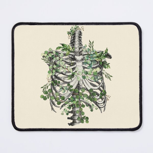 Item preview, Ribcage botanical, rib cage, floral anatomy skeleton with eucaliptus leaves designed and sold by Collagedream.