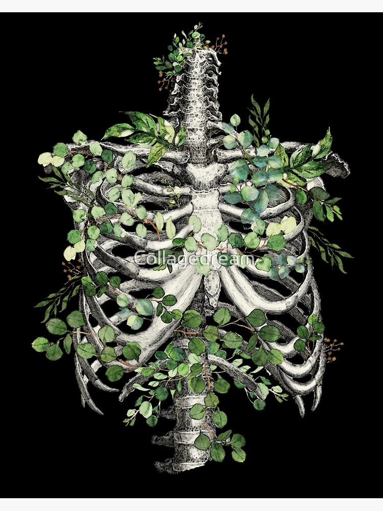 Rib cage anatomy II - Floral - Black