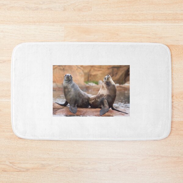 Item preview, Sea Lions in Love designed and sold by LFPPhotography.