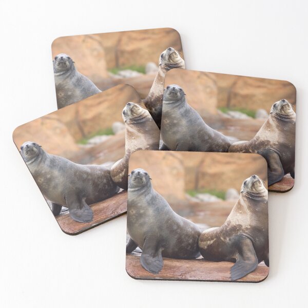Item preview, Sea Lions in Love designed and sold by LFPPhotography.