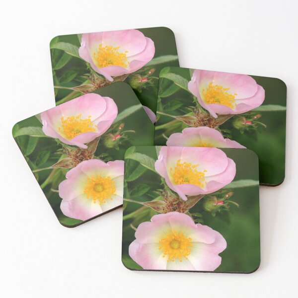 Item preview, Pink dog Rose designed and sold by AnthonyThomas.