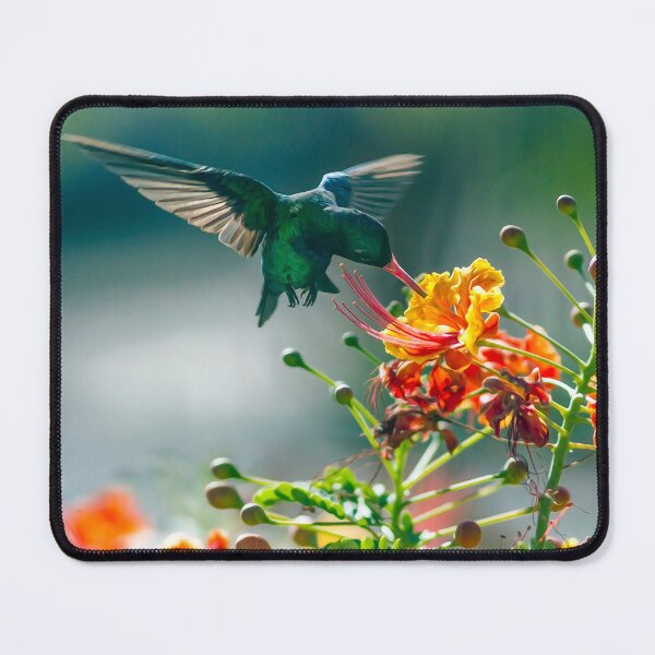Item preview, Beautiful sunny days, colors and hummingbirds designed and sold by elcarnero.