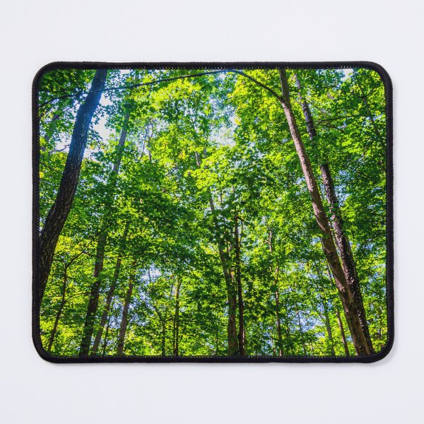 Item preview, Trees Converging - Blue, Green and Yellow designed and sold by Brian Shaw.