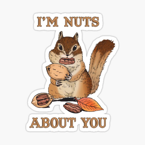 Hilarious Squirrels Stickers Redbubble - deez nutty roblox