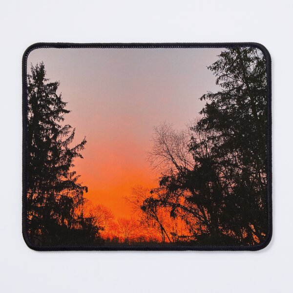 Item preview, Pines at Sunrise designed and sold by shaikenbakeart.