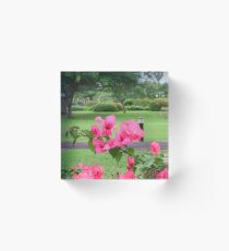 Emancipation Park, Jamaica Acrylic Block