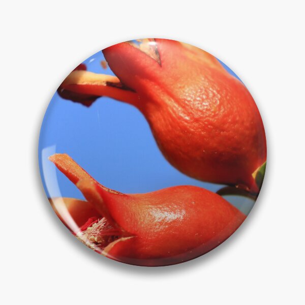 Item preview, Ornamental Pomegranate  designed and sold by Geoff Treagus.