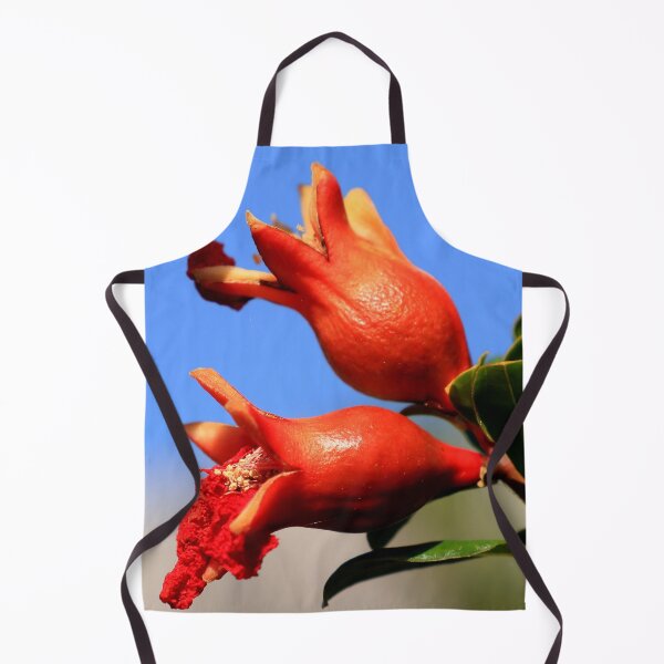 Item preview, Ornamental Pomegranate  designed and sold by Geoff Treagus.