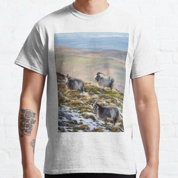 We Three Kings - Cheviot Wild Goats Classic T-Shirt