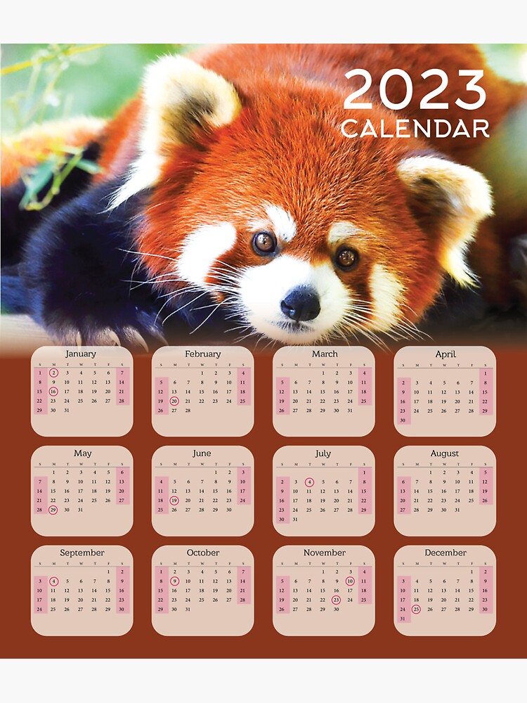 "Red Panda 2023 Calendar For Red Panda Lovers" Sticker for Sale by