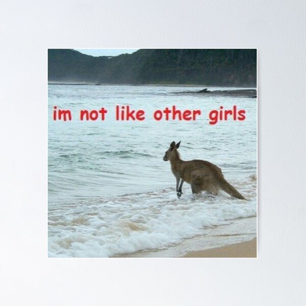 Item preview, Meme divertido "No soy como otras chicas" designed and sold by Ariilea.