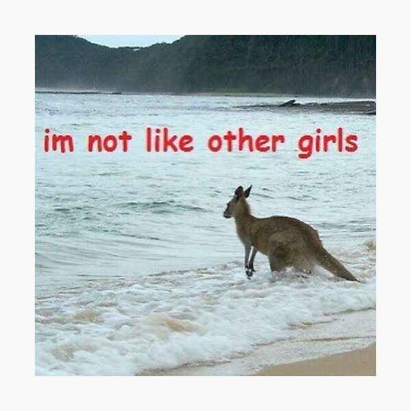 Item preview, "Im not like other girls" funny meme designed and sold by Ariilea.
