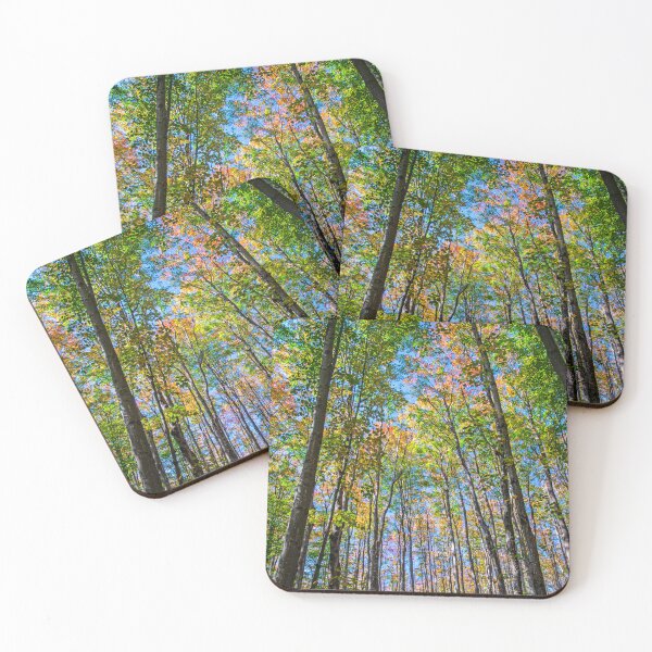 Item preview, Autumn is Coming in the Forest. designed and sold by Brian Shaw.