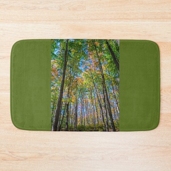 Item preview, Autumn is Coming in the Forest. designed and sold by Brian Shaw.