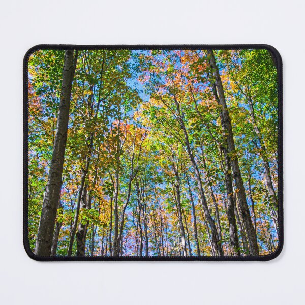 Item preview, Autumn is Coming in the Forest. designed and sold by Brian Shaw.