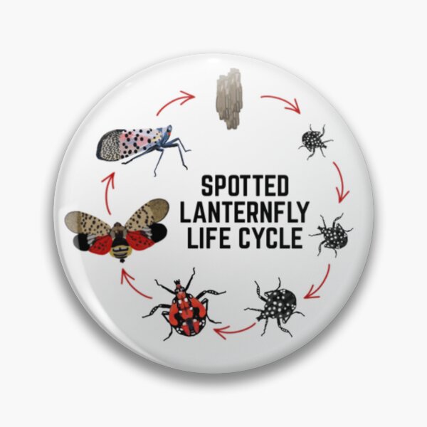 Item preview, Spotted Lanternfly designed and sold by radiantdark.