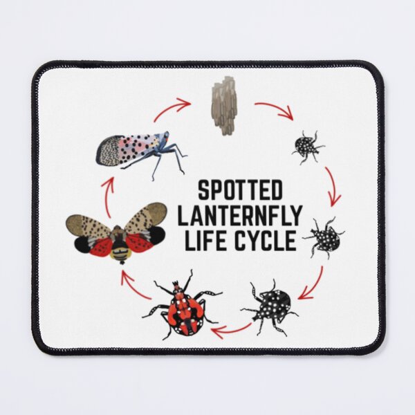 Item preview, Spotted Lanternfly designed and sold by radiantdark.