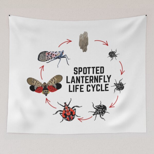 Item preview, Spotted Lanternfly designed and sold by radiantdark.