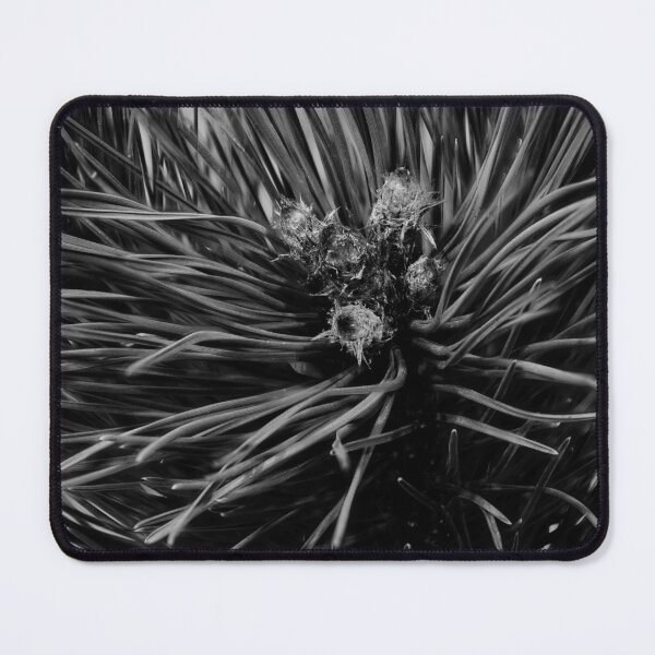 Item preview, Christmas tree fragment designed and sold by IgorKovalenko.