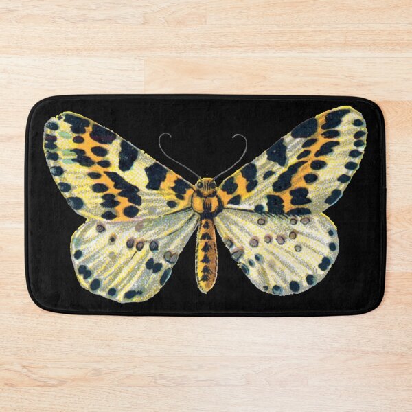 Item preview, Magpie Moth Abraxas Grossulariata Vintage Moths and Huge Butterflies designed and sold by kattakitty.