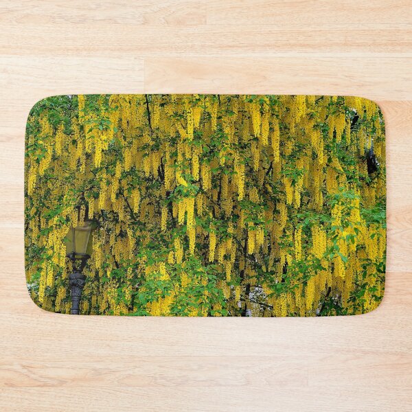 Item preview, Laburnum alpinum designed and sold by boogeyman.