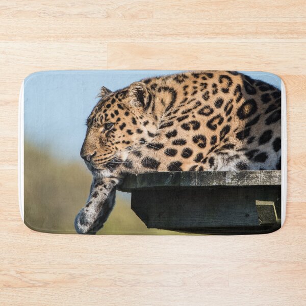 Item preview, Leopard Watching The World Go By  designed and sold by LFPPhotography.