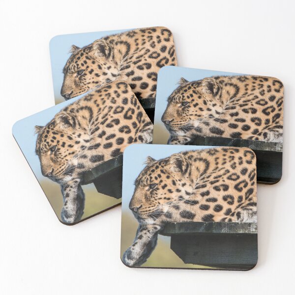 Item preview, Leopard Watching The World Go By  designed and sold by LFPPhotography.