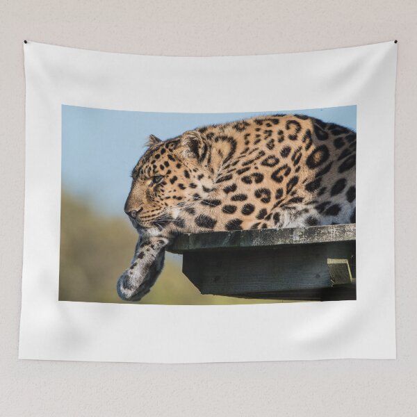 Item preview, Leopard Watching The World Go By  designed and sold by LFPPhotography.