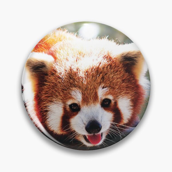 Item preview, Red Panda 2023 Calendar For Red Panda Lovers designed and sold by designartmed.