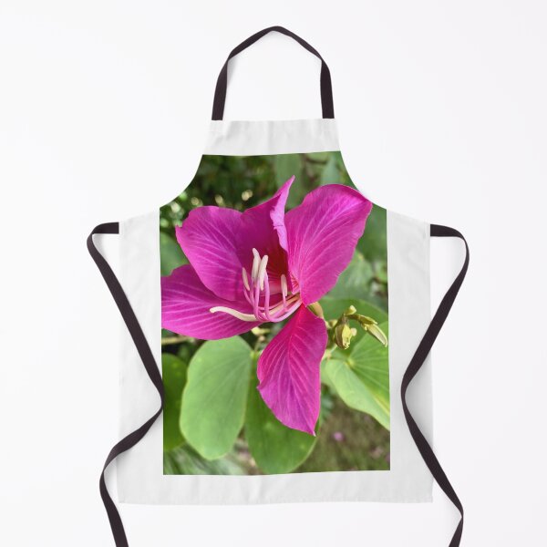 Artikelvorschau, Hongkonger Orchideenbaum entworfen und verkauft von FHJArtandPhoto.