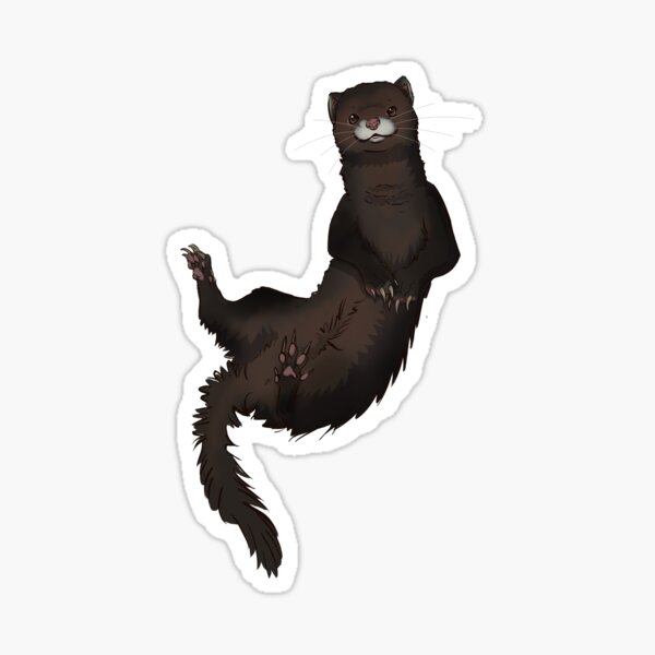 Playful Ferret Business Sticker