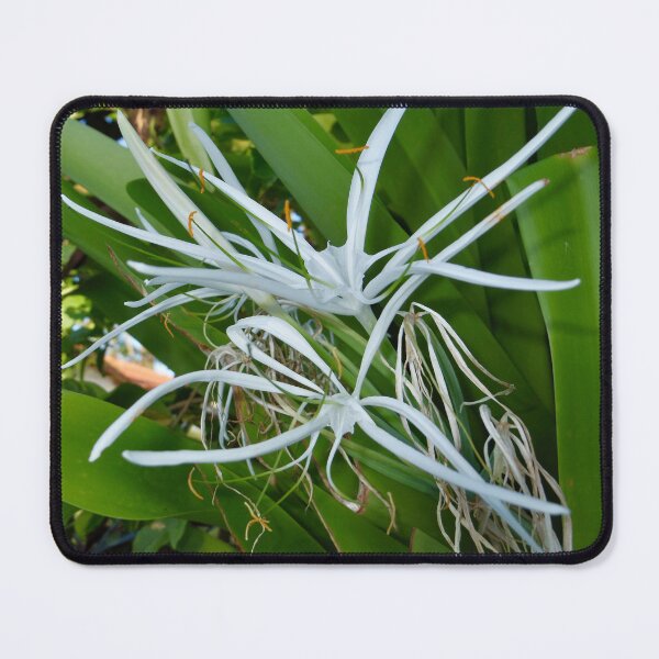 Item preview, Beach Spider Lily designed and sold by FHJArtandPhoto.