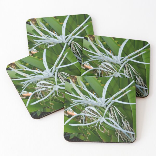 Item preview, Beach Spider Lily designed and sold by FHJArtandPhoto.