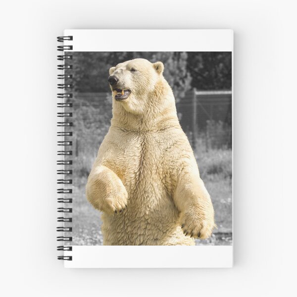 Item preview, Polar Bear Surveying His Surroundings designed and sold by LFPPhotography.